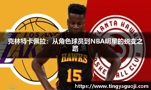 克林特卡佩拉：从角色球员到NBA明星的蜕变之路