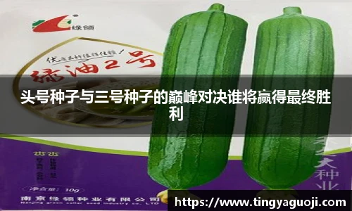 九游体育