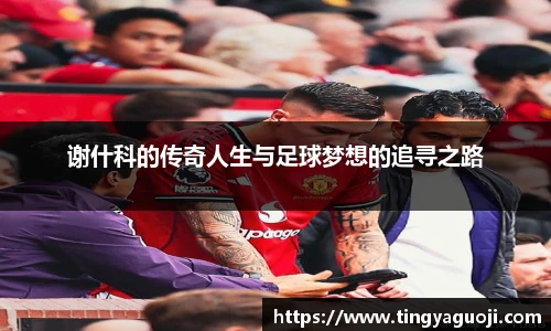 谢什科的传奇人生与足球梦想的追寻之路